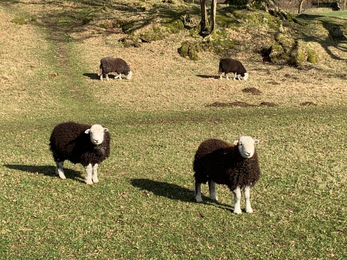 Ivythwaite Cottages Windermere Esterno foto